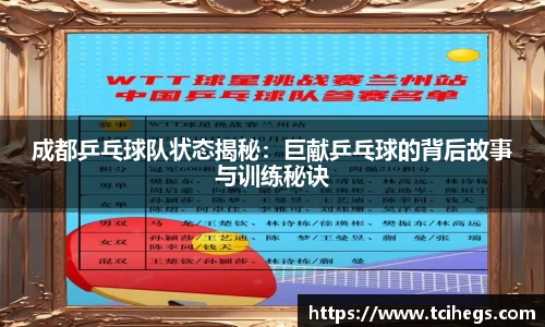 成都乒乓球队状态揭秘：巨献乒乓球的背后故事与训练秘诀